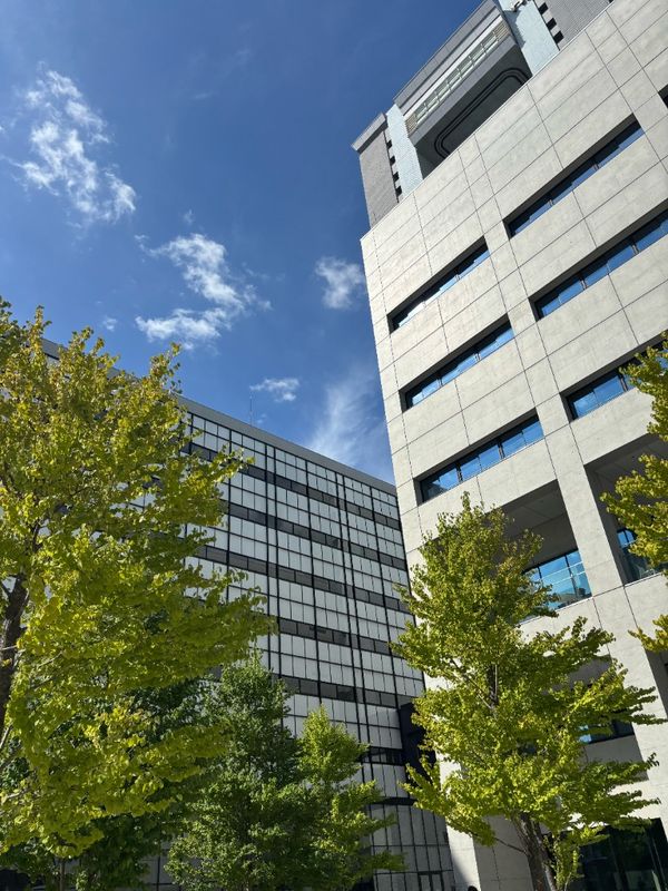 キャンパスの風景